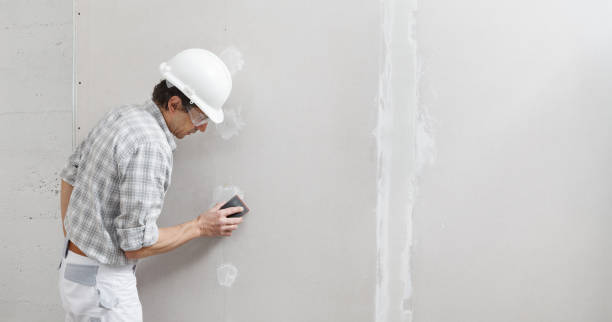 Professional Painting & Drywall Installation in Marissa, IL