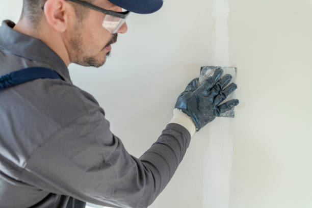 Best Commercial Painting  in Marissa, IL