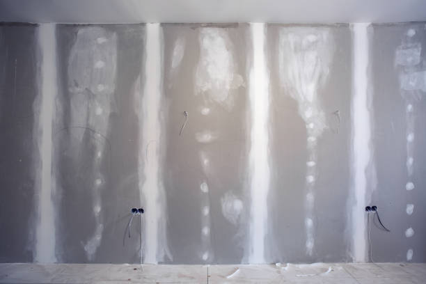 Best Drywall Removal and Disposal  in Marissa, IL